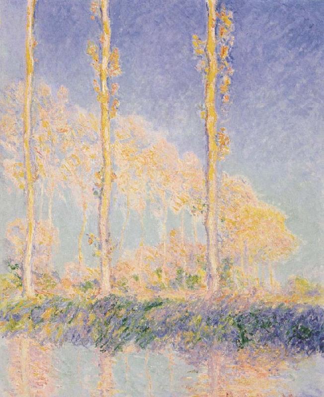 Claude Monet Three Poplars,Autumn Effect oil painting picture